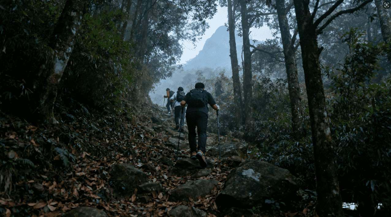 破解推特蚂蚁加速器的方法与技巧
